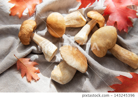 Porcini mushrooms with oak leaves on linen fabric Porcini mushrooms with oak leaves on linen fabric 143245396