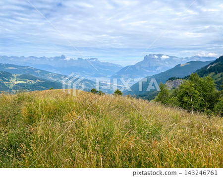 Alpine meadow with panoramic mountain view in Les Contamines-Montjoie, France 143246761