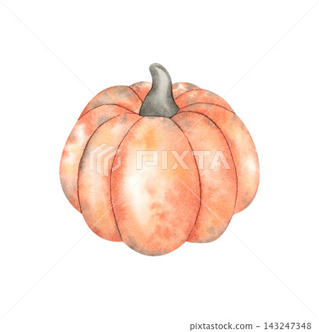 Watercolor illustration of a ripe orange pumpkin. An autumn harvest from the farm or garden. A pumpkin for Halloween or Thanksgiving. For decoration or for preparing vegetarian dishes. 143247348