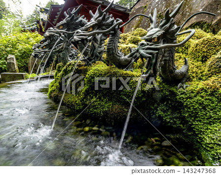 箱根神社，周圍環繞著翠綠的植物 143247368