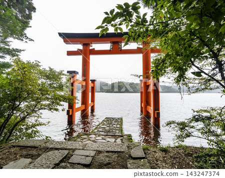 箱根神社，周圍環繞著翠綠的植物 143247374