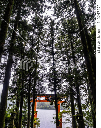 箱根神社,周圍環繞著翠綠的植物 箱根神社,周圍環繞著翠綠的植物 143247375