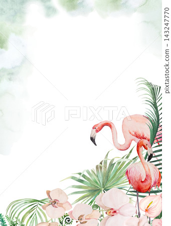 Watercolor pink flamingos with palm leaves and orchids, tropical watercolor isolated illustration Watercolor pink flamingos with palm leaves and orchids, tropical watercolor isolated illustration 143247770