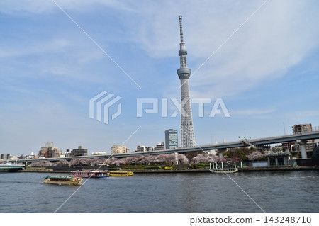 Asakusa, Tokyo, Japan: Tokyo Skytree, cherry blossoms in full bloom, a beautiful blue sky, and boats of all sizes sailing on the Sumida River. Asakusa, Tokyo, Japan: Tokyo Skytree, cherry blossoms in full bloom, a beautiful blue sky, and boats of all sizes sailing on the Sumida River. 143248710