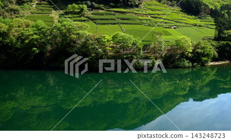 高知縣仁澱川岩津水庫湖面倒映著茶園的景色。 高知縣仁澱川岩津水庫湖面倒映著茶園的景色。 143248723