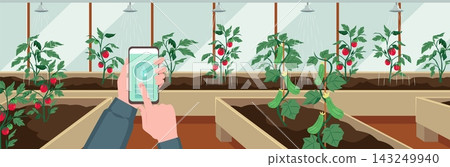 Greenhouse agriculture background with smartphone monitoring Greenhouse agriculture background with smartphone monitoring 143249940