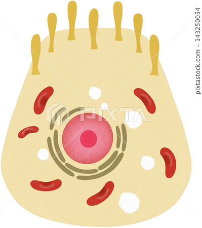 light yellow g cell light yellow g cell 143250054