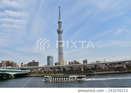 Asakusa, Tokyo, Japan: A sightseeing boat sailing down the Sumida River, with the Tokyo Skytree in full bloom, cherry blossoms in full bloom, and a beautiful blue sky. Asakusa, Tokyo, Japan: A sightseeing boat sailing down the Sumida River, with the Tokyo Skytree in full bloom, cherry blossoms in full bloom, and a beautiful blue sky. 143250213