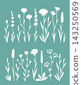 Floral bundle, wildflowers, flowers and plants, lavender and chamomile 143250569