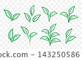 Set of plants with green leaves, branches and twigs, sprout signs 143250586