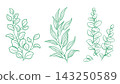 Eucalyptus branches three posters prints wall art decor 143250589