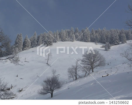 Snowy landscape at Hornle Mountain, alpine foothills in Bavaria, Germany Snowy landscape at Hornle Mountain, alpine foothills in Bavaria, Germany 143250602