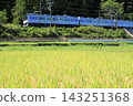 A sustainable vehicle speeds through the Chichibu region in early autumn, where golden rice fields are a beautiful sight. 143251368