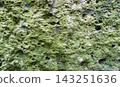 Mossy rock surface 143251636