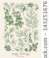 Holiday card with green winter plants 143251676