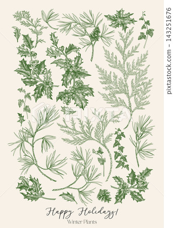 Holiday card with green winter plants Holiday card with green winter plants 143251676