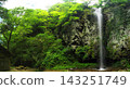 Summer in Yurihama Town, Tottori Prefecture: The famous waterfall "Ima-taki" 143251749