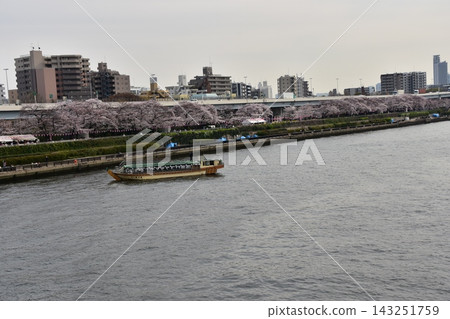 日本東京淺草：東京晴空塔周圍的街景、隅田川上的觀光船以及盛開的櫻花。 143251759