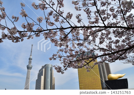 日本東京淺草:東京晴空塔、現代摩天大樓、著名古蹟、盛開的櫻花和美麗的藍天。 日本東京淺草:東京晴空塔、現代摩天大樓、著名古蹟、盛開的櫻花和美麗的藍天。 143251763
