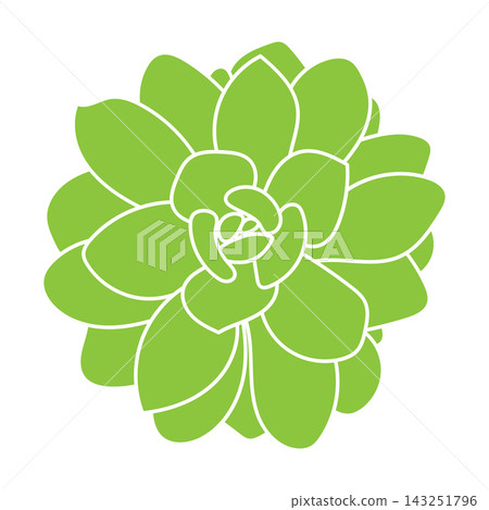 Green silhouette of succulent. Desert flower sketch. Outline drawing plant. Succulent doodle style.  143251796