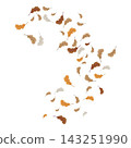 autumn Leaf background concept template vector 143251990
