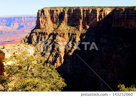 Grand Canyon Arizona Grand Canyon Arizona 143252060
