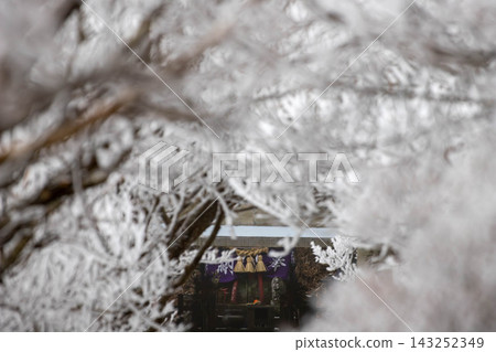 透過積雪覆蓋的樹木,可以看到雲仙妙顯神社。 透過積雪覆蓋的樹木,可以看到雲仙妙顯神社。 143252349
