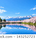 [Niigata] Sunny day at Takada Castle Ruins Park: The snow-capped Myoko mountain range and the cherry blossom trees in full bloom are reflected in the moat's water. 143252723