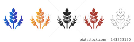 Wheat stalk agriculture icon for harvest Wheat stalk agriculture icon for harvest 143253150