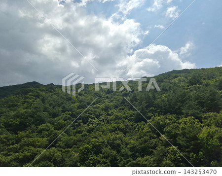 It is a mountain with a lush forest and a blue sky. It is a mountain with a lush forest and a blue sky. 143253470