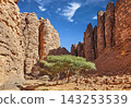 Sahara Desert, Plateau Tassili n'Ajjer in Algeria 143253539