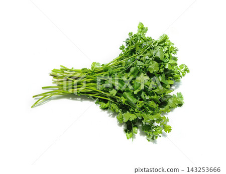 Coriander on a white background. 143253666