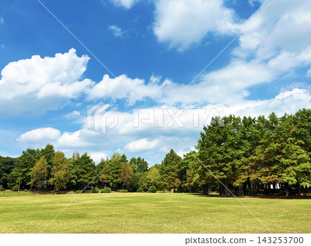 鬱鬱蔥蔥的公園 鬱鬱蔥蔥的公園 143253700