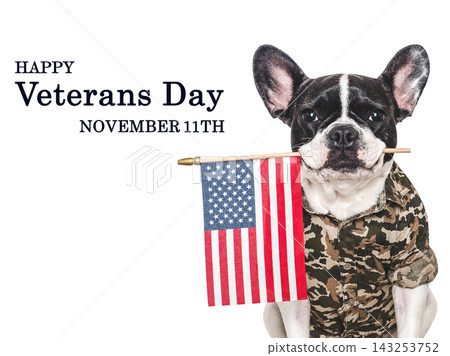 Cute dog in camouflage shirt and a greeting message Cute dog in camouflage shirt and a greeting message 143253752