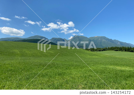 Ku Seitama在夏天 Ku Seitama在夏天 143254172