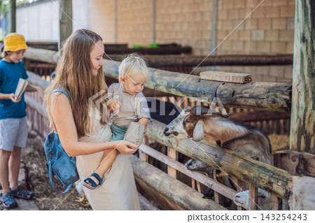 Mother and two sons enjoy feeding a goat during a family farm visit. Family bonding through shared animal experiences. Mother and two sons enjoy feeding a goat during a family farm visit. Family bonding through shared animal experiences. 143254243
