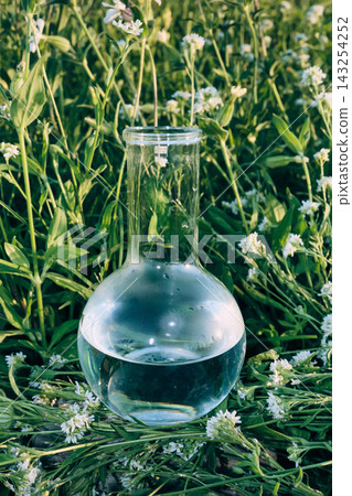 Glass laboratory flask with liquid among white wildflowers and green plants Glass laboratory flask with liquid among white wildflowers and green plants 143254252