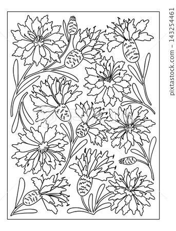 Cornflower coloring page illustration featuring detailed line art of various cornflower blooms and leaves arranged artistically on a white background for creative coloring activities Cornflower coloring page illustration featuring detailed line art of various cornflower blooms and leaves arranged artistically on a white background for creative coloring activities 143254461