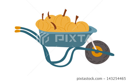 Wheelbarrow filled with pumpkins, featuring a blue body, yellow pumpkins, and a black tire, suitable for autumn harvest and seasonal decoration Wheelbarrow filled with pumpkins, featuring a blue body, yellow pumpkins, and a black tire, suitable for autumn harvest and seasonal decoration 143254465