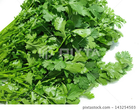 Coriander on a white background. Coriander on a white background. 143254503