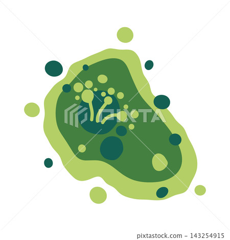 Microscopic mold colony in a damp indoor environment shows green and black fungus growth. Vector illustration Microscopic mold colony in a damp indoor environment shows green and black fungus growth. Vector illustration 143254915