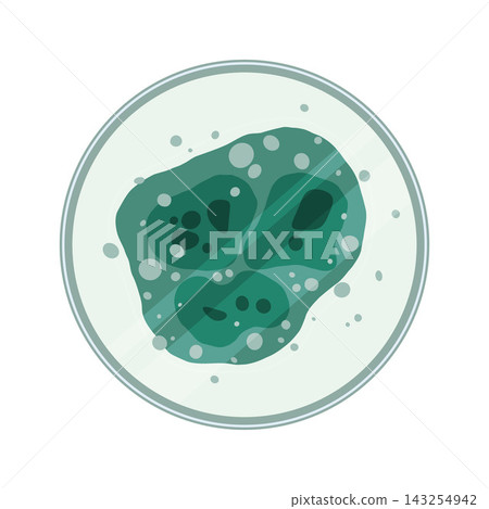 Fungal Culture Plate Fungal Culture Plate 143254942