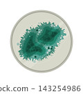 Fungal Growth Dish 143254986