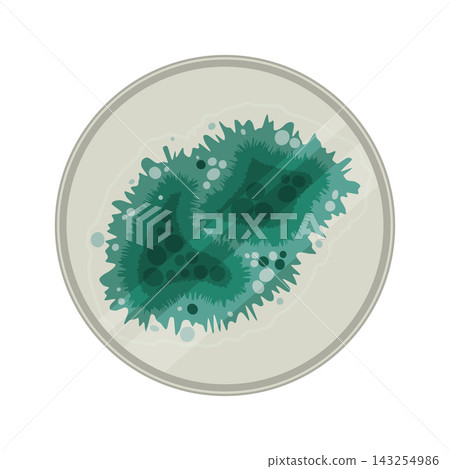 Fungal Growth Dish Fungal Growth Dish 143254986