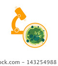 Microscope Petri Colony 143254988