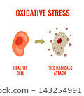 Free radical attack on cell Illustration 143254991