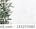 Minimal Botanical Background with Eucalyptus Leaves on Light Surface 143255082