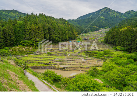 水稻插秧前,愛知縣新城市四谷梯田的景色(愛知縣) 水稻插秧前,愛知縣新城市四谷梯田的景色(愛知縣) 143255101