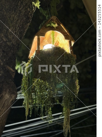 Decorative Garden Lantern with Hanging Green Plants Decorative Garden Lantern with Hanging Green Plants 143255514