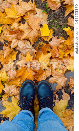 Top view of person feet in black leather boots standing on bright golden maple leaves. Welcome autumn and cozy seasonal lifestyle concept 143255570
